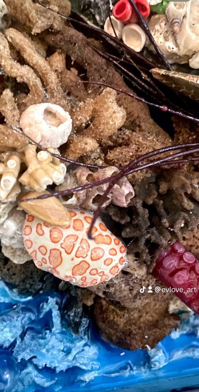 Reef Rendezvous