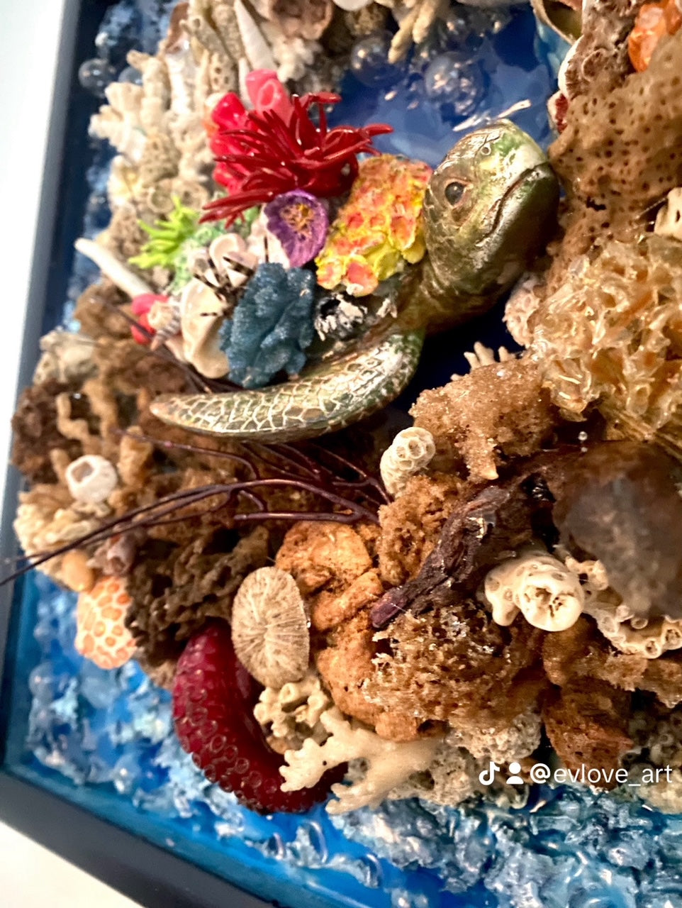 Reef Rendezvous