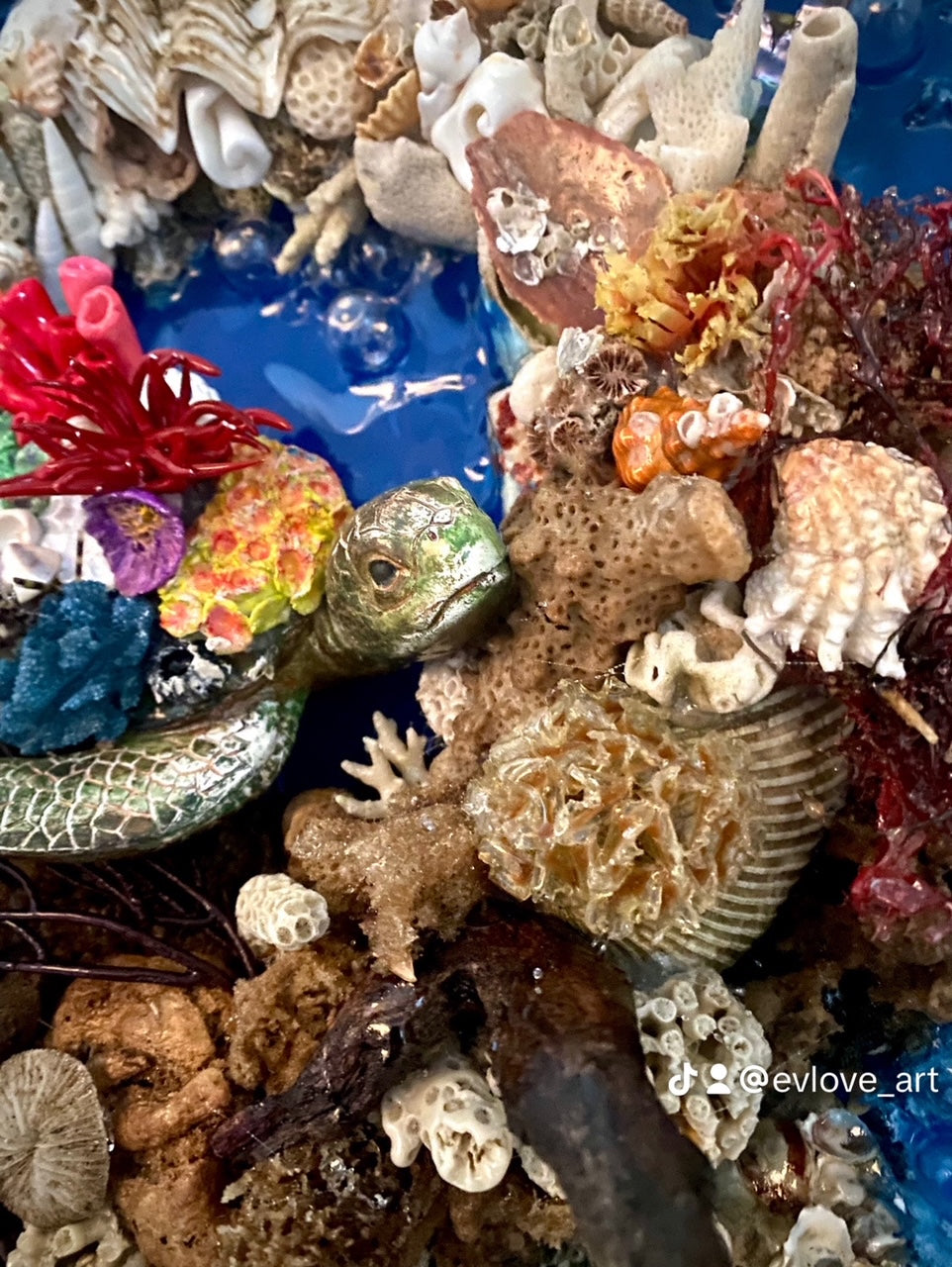 Reef Rendezvous