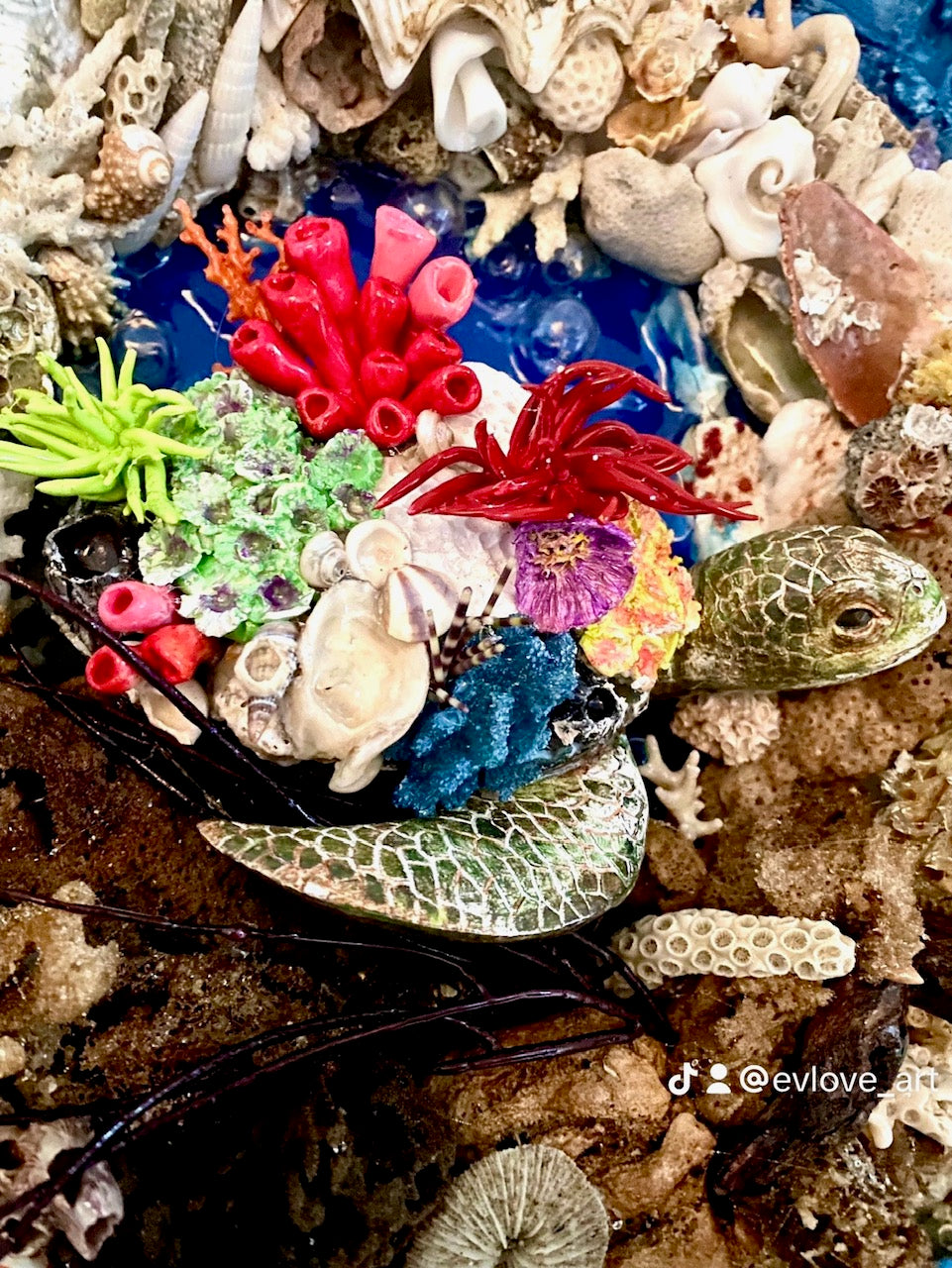 Reef Rendezvous