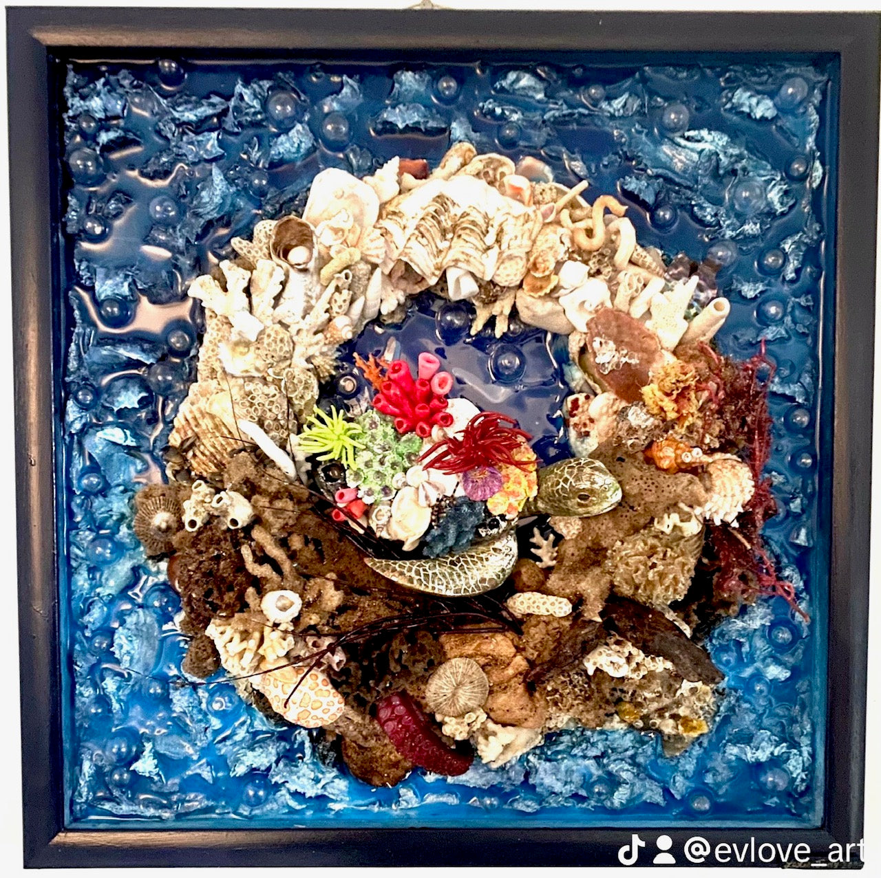 Reef Rendezvous